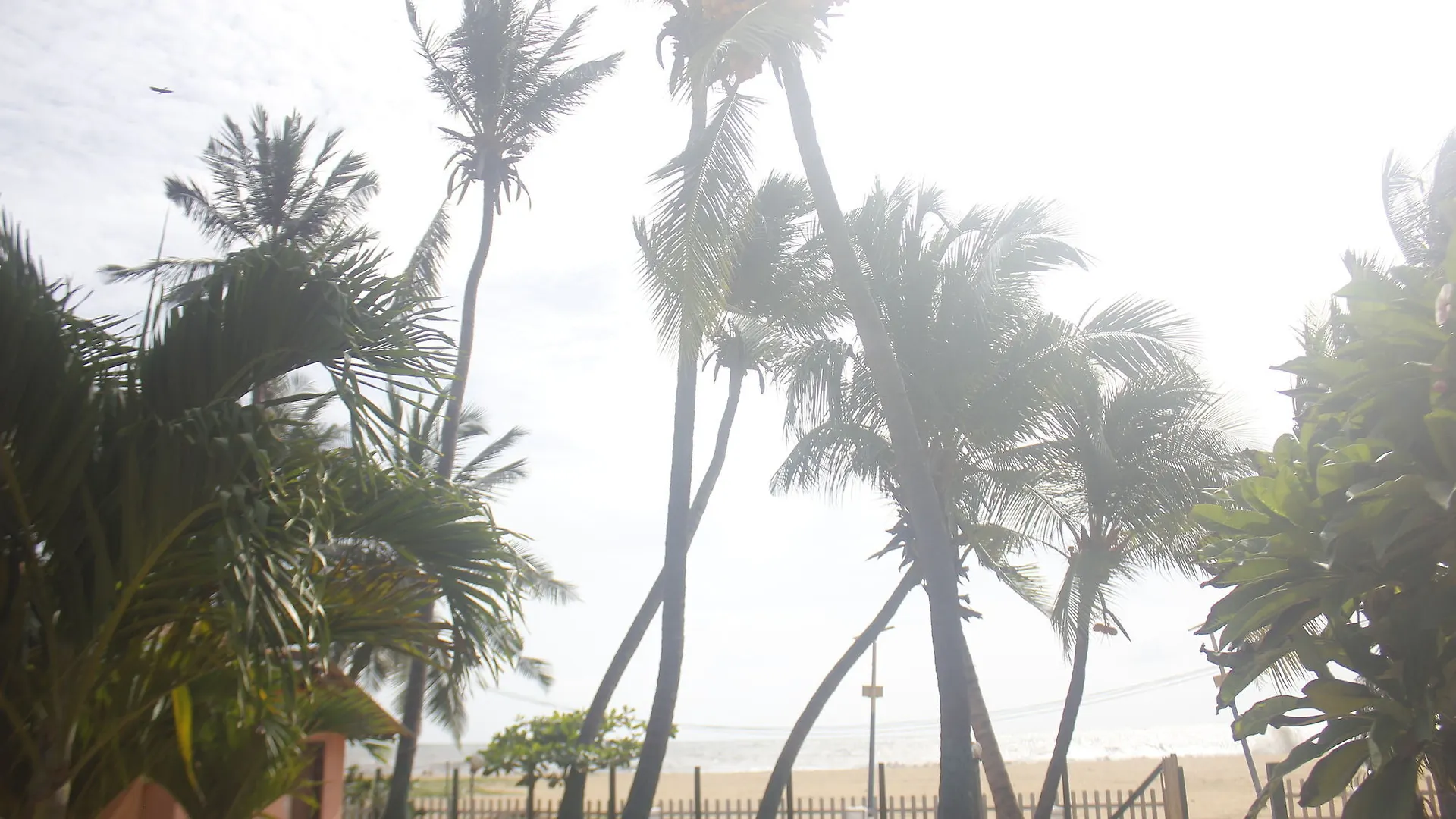 Hotel Star Beach Guest House Negombo